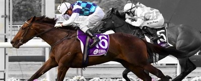 LOGAN RACING HAVE 4 STARTERS AT ELLERSLIE ON SATURDAY 23RD APRIL INCLUDING CANDLE IN THE WIND IN THE GROUP 1 MANCO EASTER STAKES
